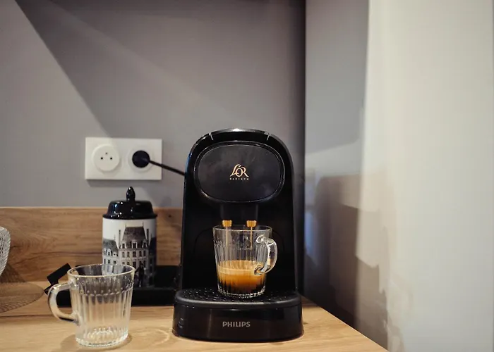 Apartment La Perle De La Republique - Au Coeur Du Centre Historique *